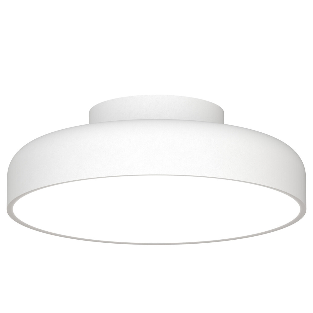 Contour Ceiling Light