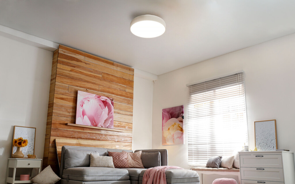 Contour Ceiling Light - Image 11